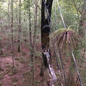 Meet your Posher, Fred